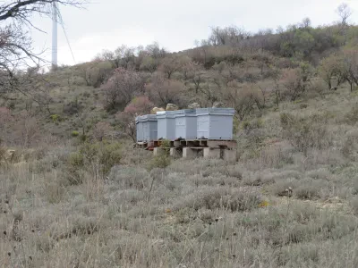 Revisión de una colmena en un apiario —fotografía de ejemplo, no es el plantel—