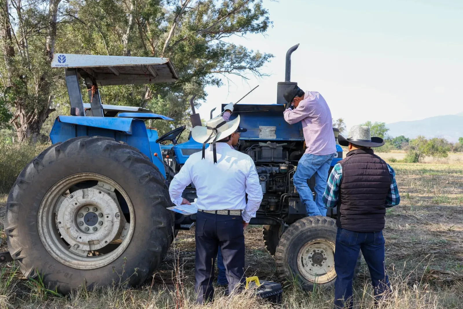 Técnico Agropecuario (foto 16 de 17)