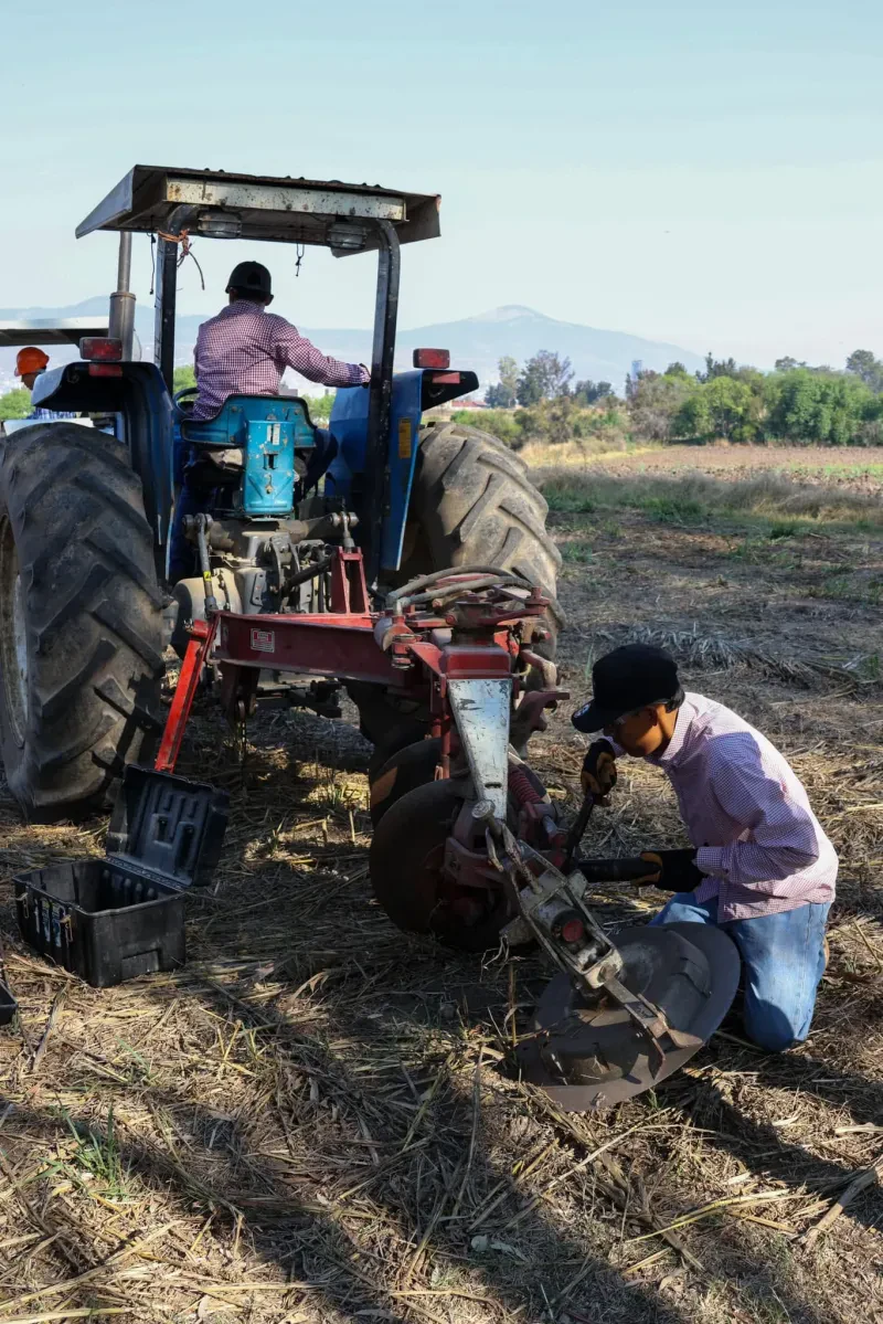 Técnico Agropecuario (foto 17 de 17)