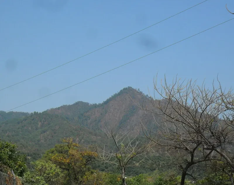 Paisaje agrícola —fotografía de ejemplo, no es el plantel—
