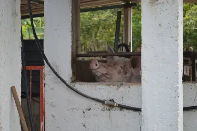 Práctica de campo de un bachillerato tecnológico —fotografía de ejemplo, no es el plantel—