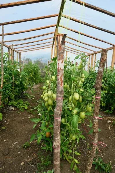 Instalaciones de un plantel escolar —fotografía de ejemplo, no es el plantel— (foto 3 de 3)